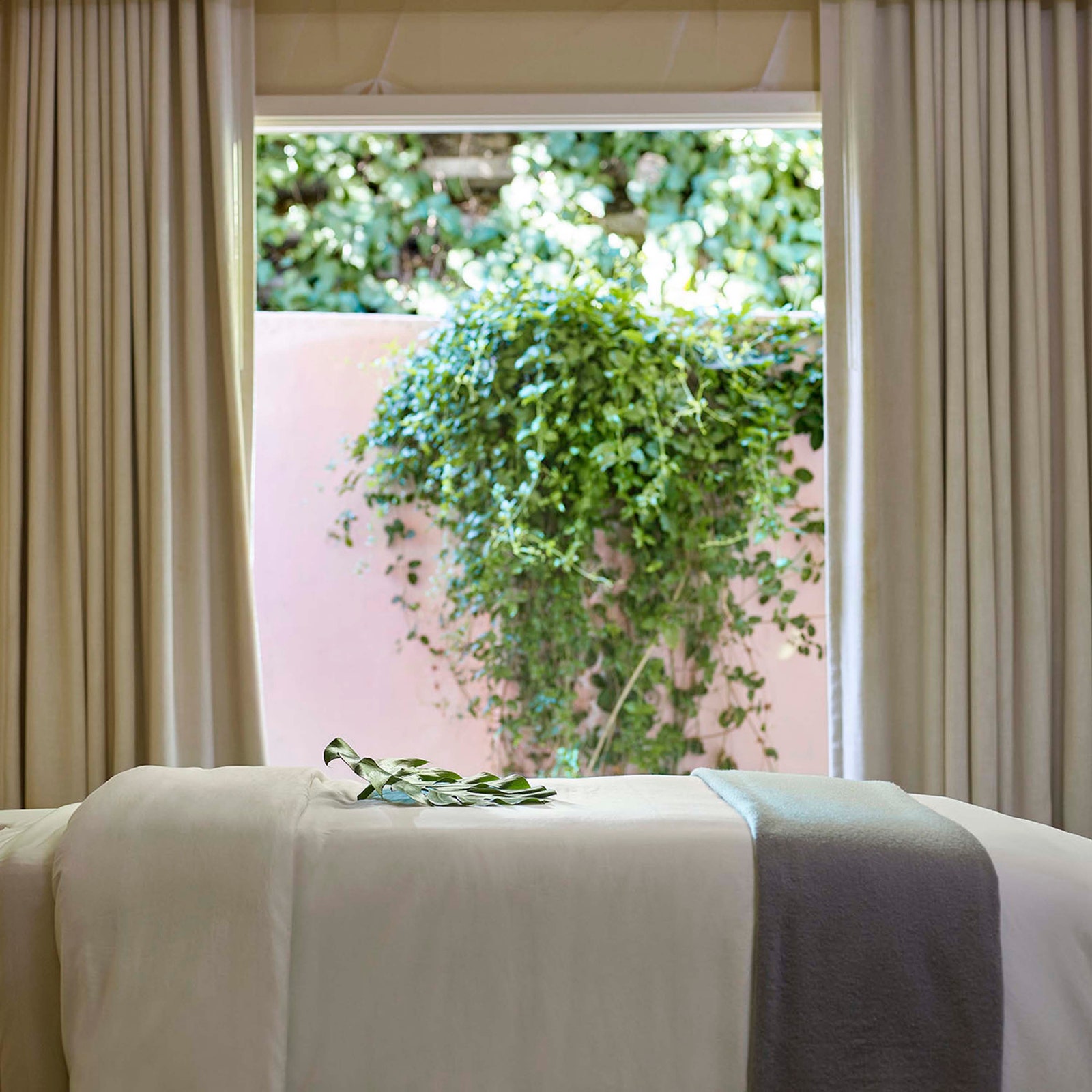 Images may contain plant bed furniture windows and spa
