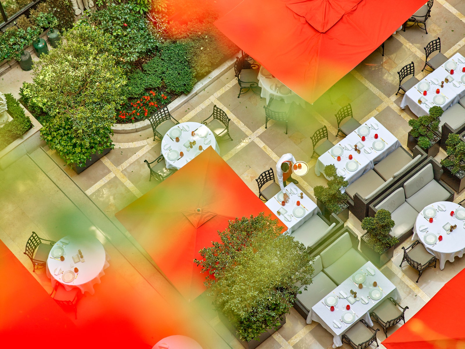 Images may contain chairs, furniture, dining tables, plants, indoor dining terraces, grass and tables